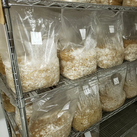 Grain bag
