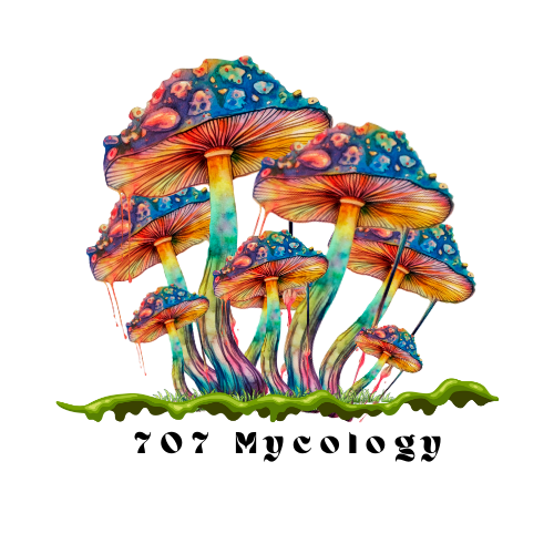 Colorful mushroom illustration with '707 Mycology' text on a white background