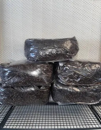 C.V.G blend Soil